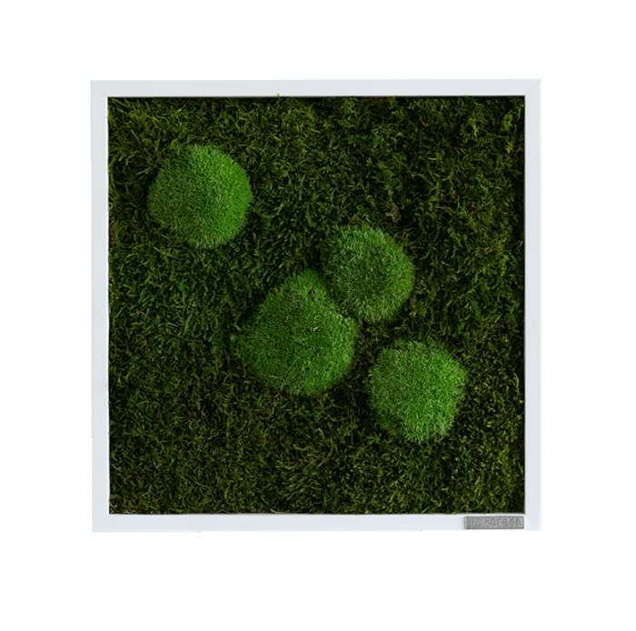 MOOSBILD: WALD- UND KUGELMOOSBILD 35X35CM